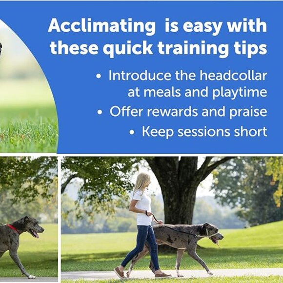 GENTLE LEADER~ Head Collar- Stop Pulling, Lunging, Jumping- MED- Black- With DVD - Picture 12 of 12